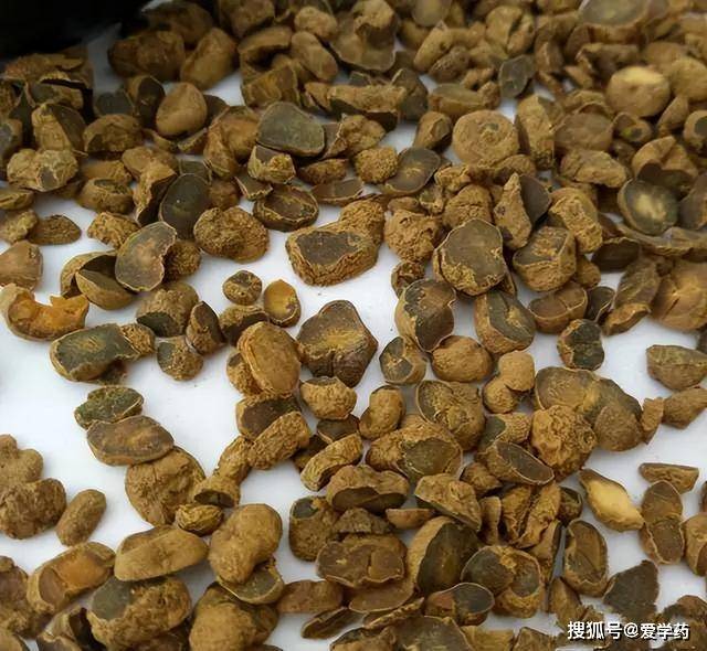 元胡最新价格行情更新🌱🌼
