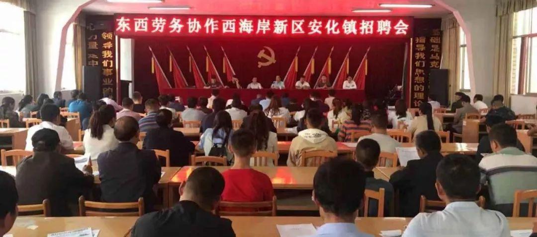 青岛最新招聘信息及招聘动态更新