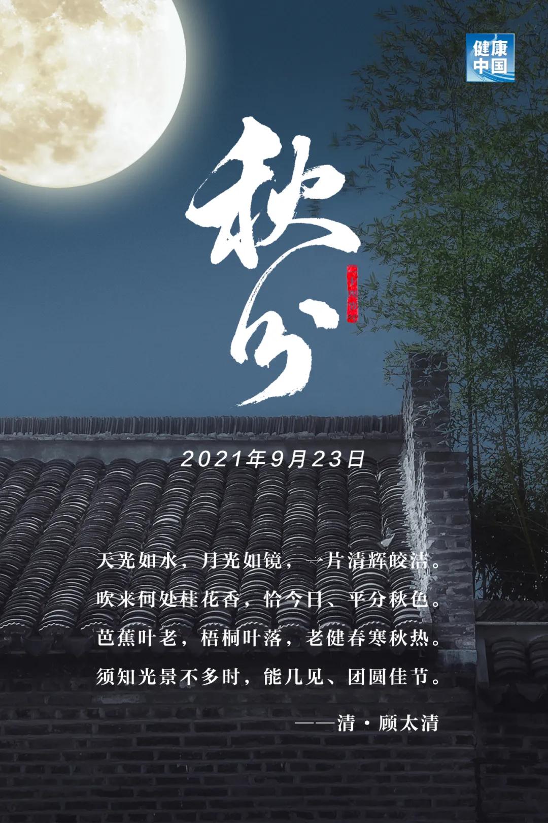最新伤人事件深度探讨，要点与影响分析