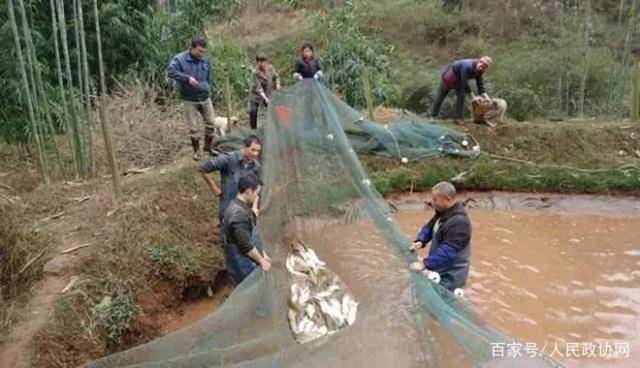 晋城张少波，自然美景中的内心平和之旅最新消息