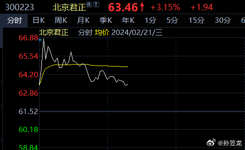 北京君正最新动态，深度分析最新消息及其影响，观点阐述