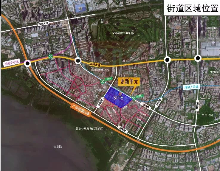 社旗潘河规划最新动态揭秘