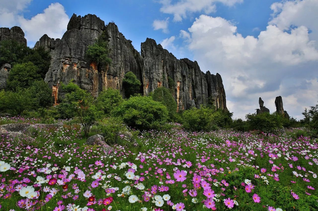 芜湖县最新干部任免,芜湖县最新干部任免，一场自然美景的探索之旅