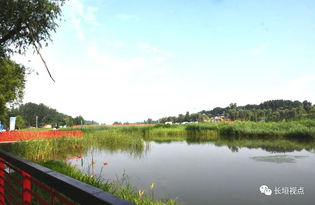 长葛湿地公园最新动态揭秘，最新消息一览无余✨