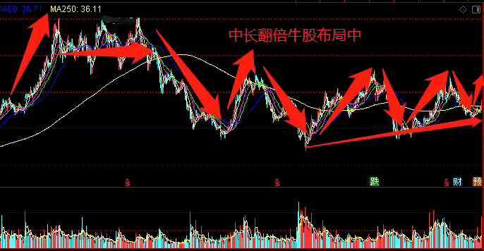 霸王集团股票动态，最新消息引领自信与成就，共筑梦想之路！