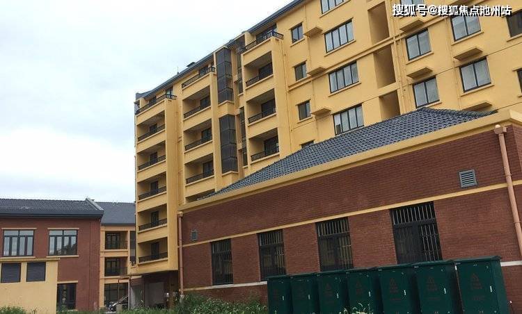 合金股份最新动态深度解析与观点阐述