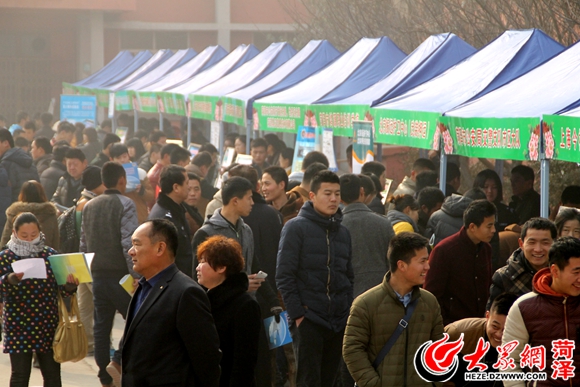 菏泽最新招聘会信息及自然美景探索之旅