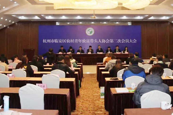临安人才网最新招聘信息概览，最新职位与招聘信息汇总