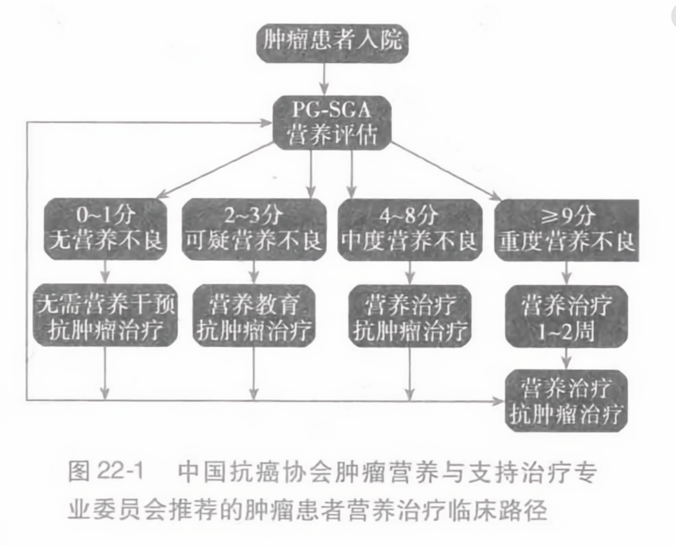 中国肿瘤营养指南最新版的背景、影响与地位解析