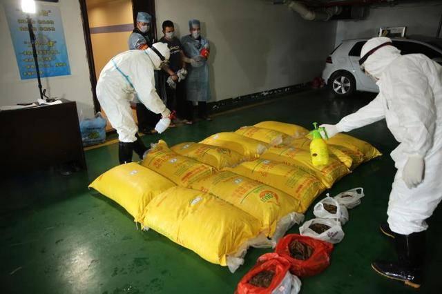 安徽最新入境政策揭秘，开启自然探索之旅，追寻内心平和宁静的旅程