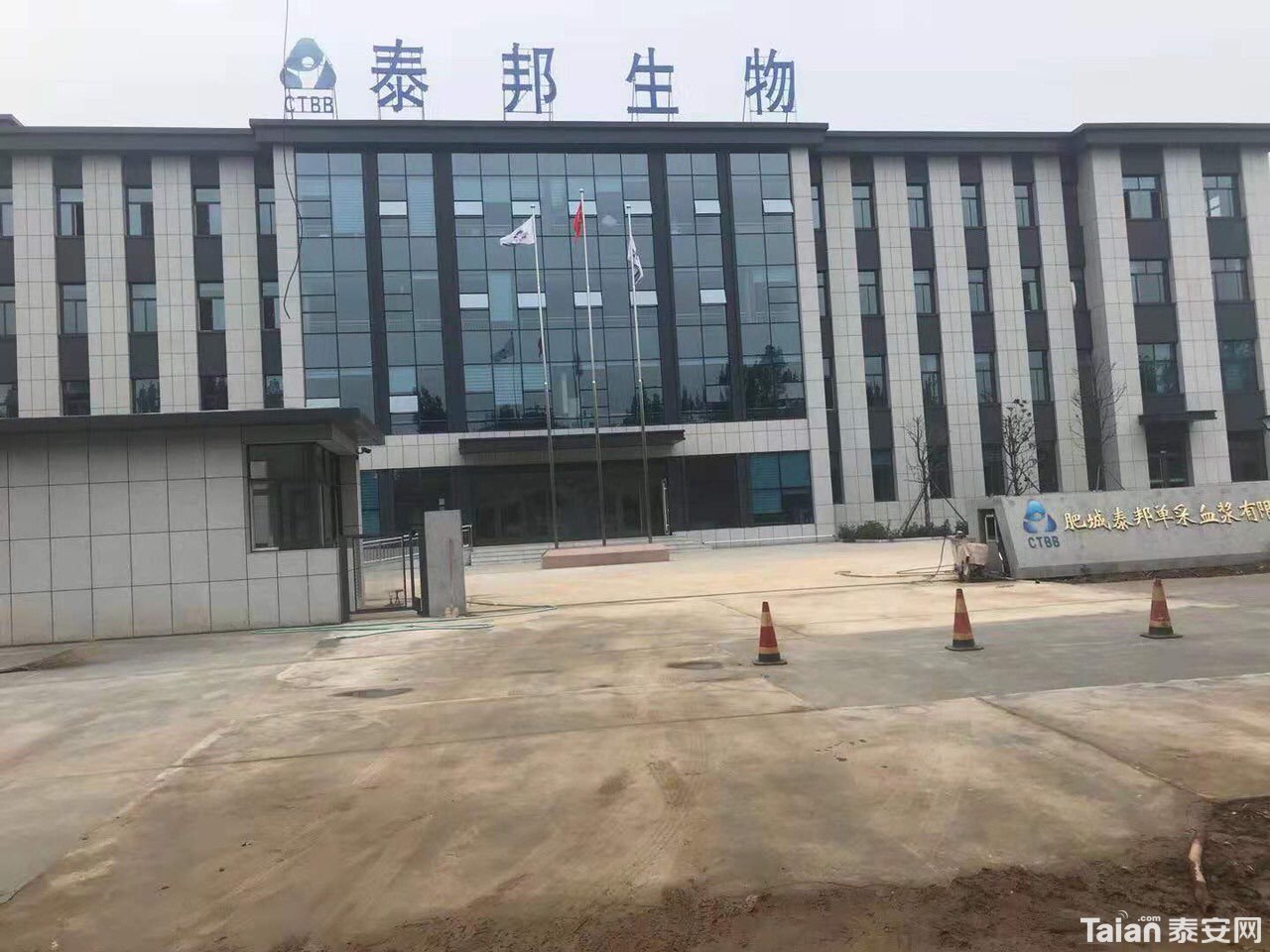 泰安泰邦生物最新招聘信息及求职步骤指南