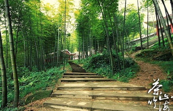 永川茶山竹海探秘，小巷中的隐藏瑰宝新发现