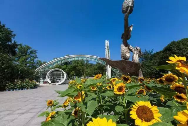 厦门植物园最新探索之旅，自然美景尽收眼底