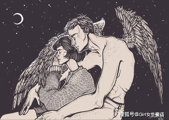情兽最新探讨，深度解析情兽现象（正式风格）