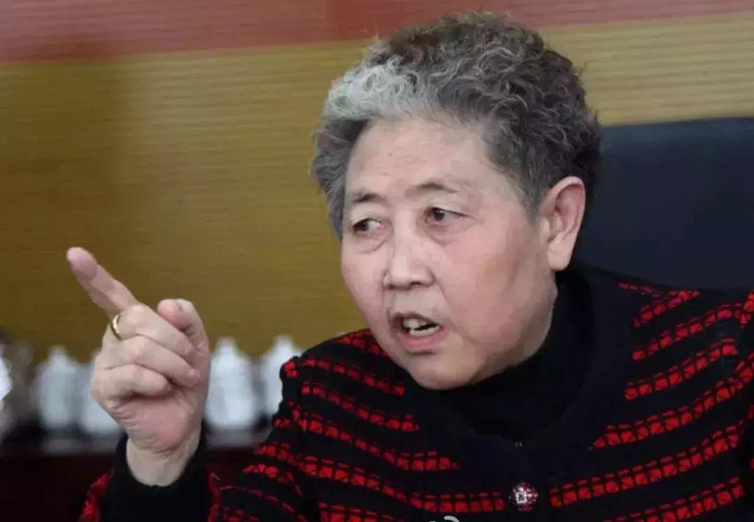 最新追债现象，深度分析与立场阐述