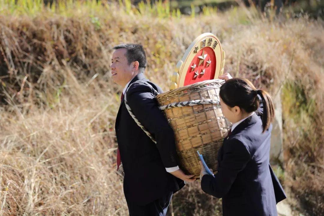 武汉自然美景之旅，寻找内心的平和与喜悦的短片欣赏