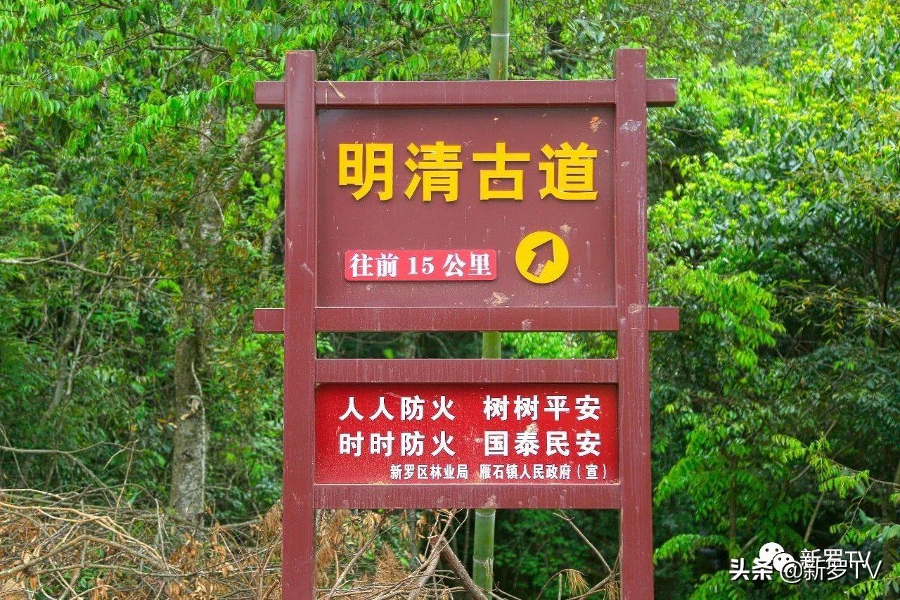 历史最新价背后的自然美景之旅，寻找内心平和的旅程