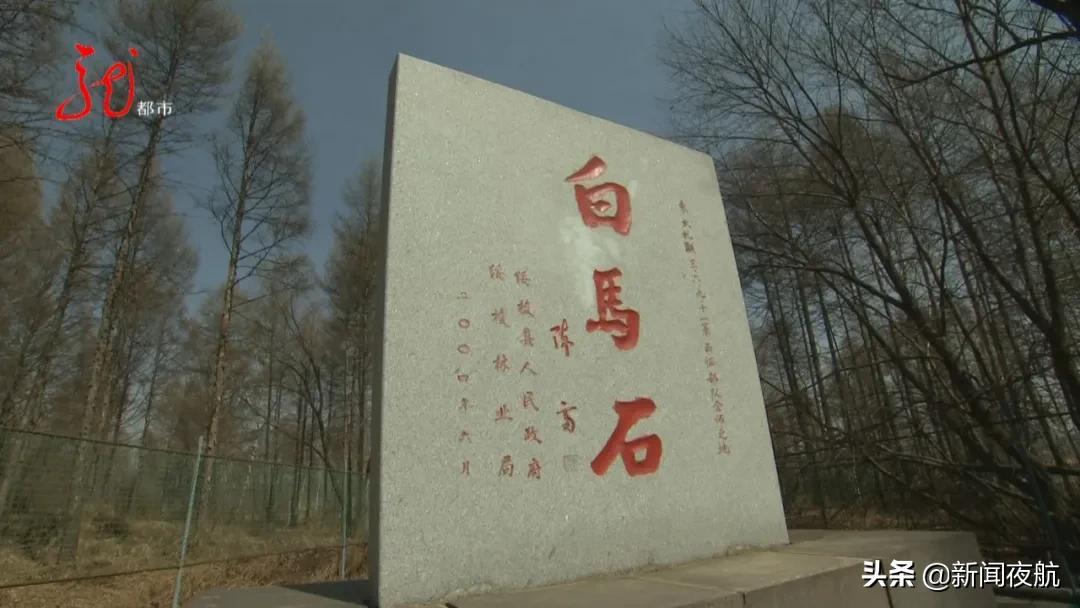 最新入关日本，一段温馨的旅程之旅