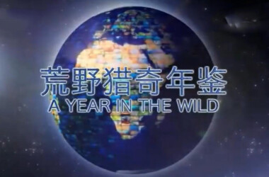 探索自然美景之旅，最新节目启程，寻找内心的平静与喜悦