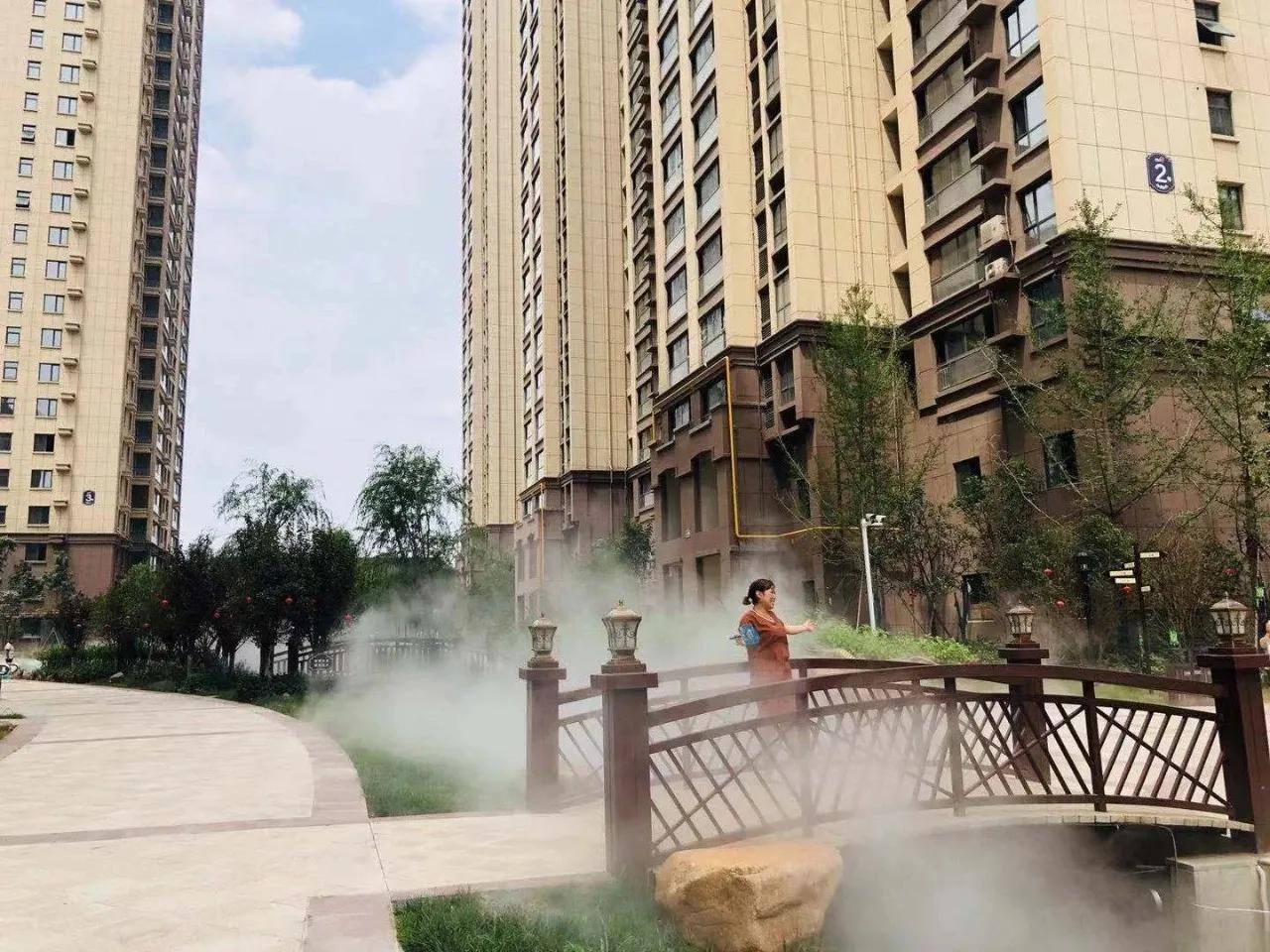 丽都名邸项目最新动态揭秘，小巷中的隐藏宝藏！