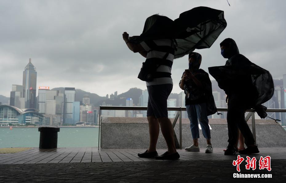 香港台风最新动态及其观点论述解析