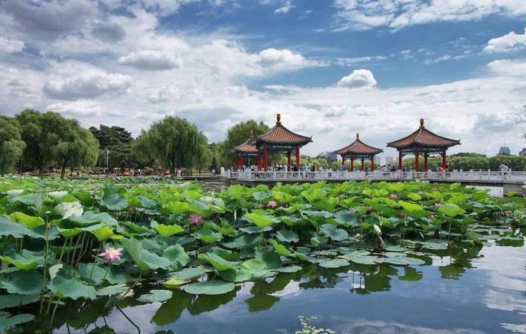 赵雨程，银幕之外的自然美景邂逅之旅