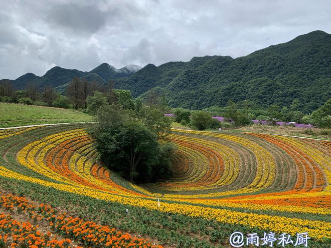 中科昊泰最新动态，探索自然美景之旅，寻求内心平和宁静的旅程