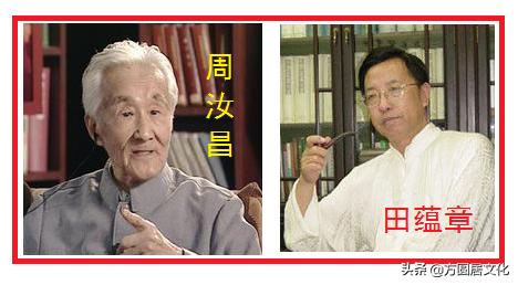 最新神召，深度解析与观点阐述
