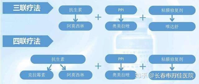 四联疗法最新经典探索与小巷深处的特色小店探秘