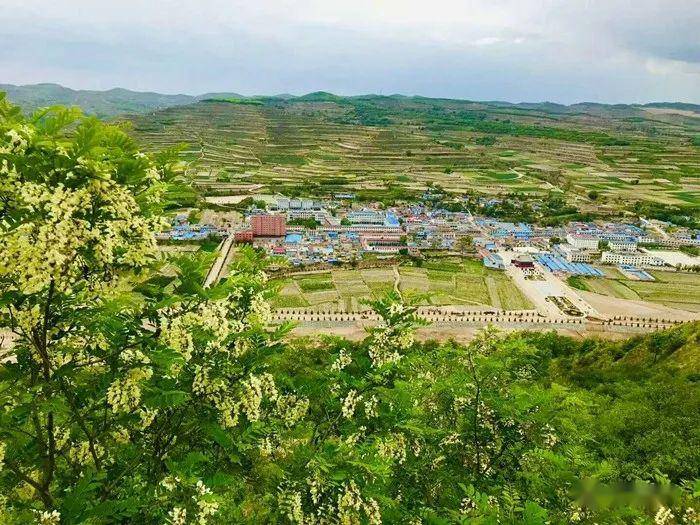 汇川区山盆镇最新动态揭秘，小巷深处的独特风味