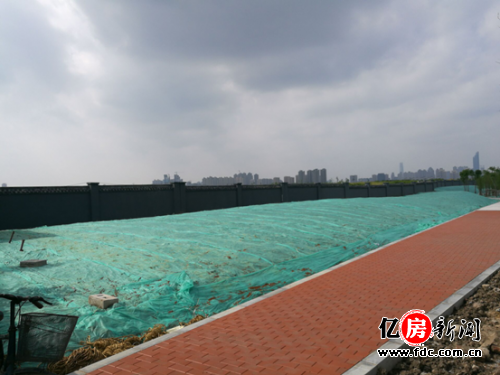 汉阳四新方岛最新动态，自然美景的探索之旅，寻觅内心平和与宁静