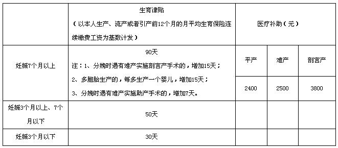 济宁二胎产假最新政策详解及步骤指南
