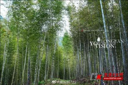 龙岩kk网热点新闻更新，小巷深处的独特风味