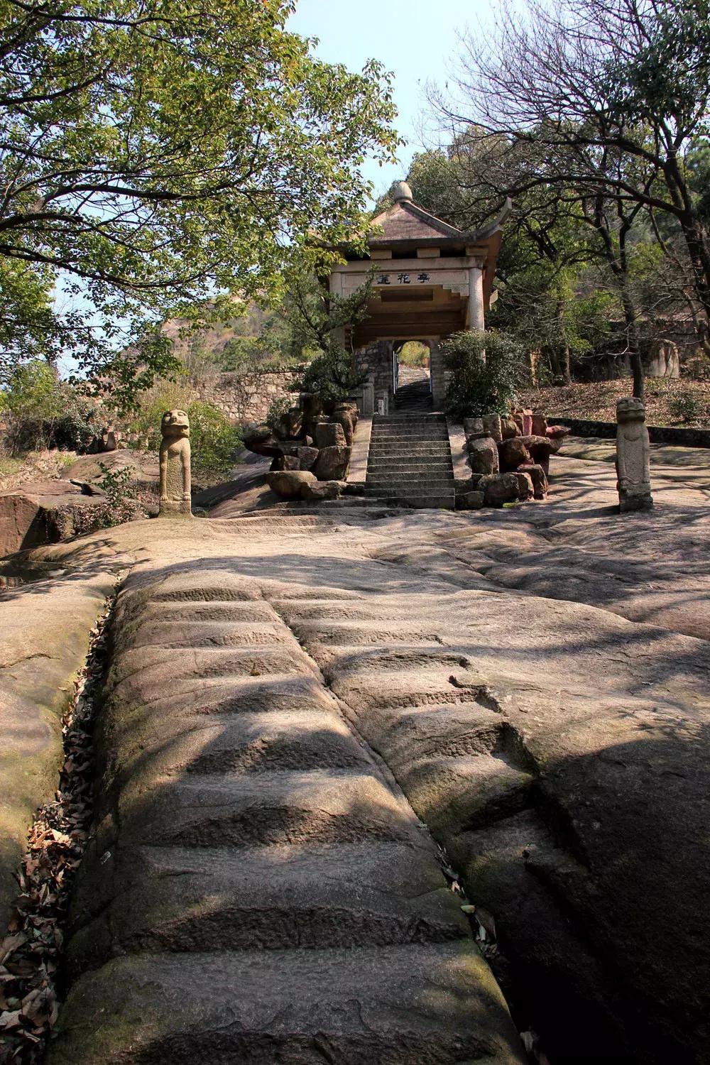 升兴股份最新动态，自然美景探索之旅的心灵洗涤与提升体验
