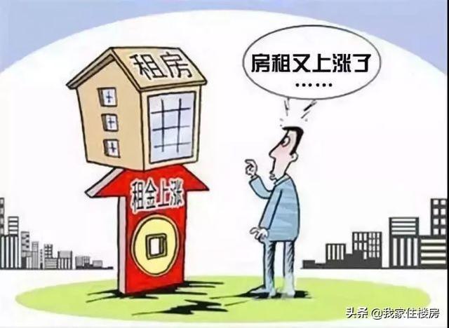 政策解读