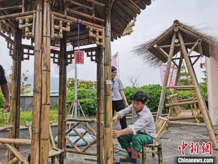 深圳地铁12号线最新动态，启程探索自然美景之旅