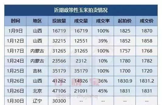 安国土元最新收购价深度分析与观点阐述
