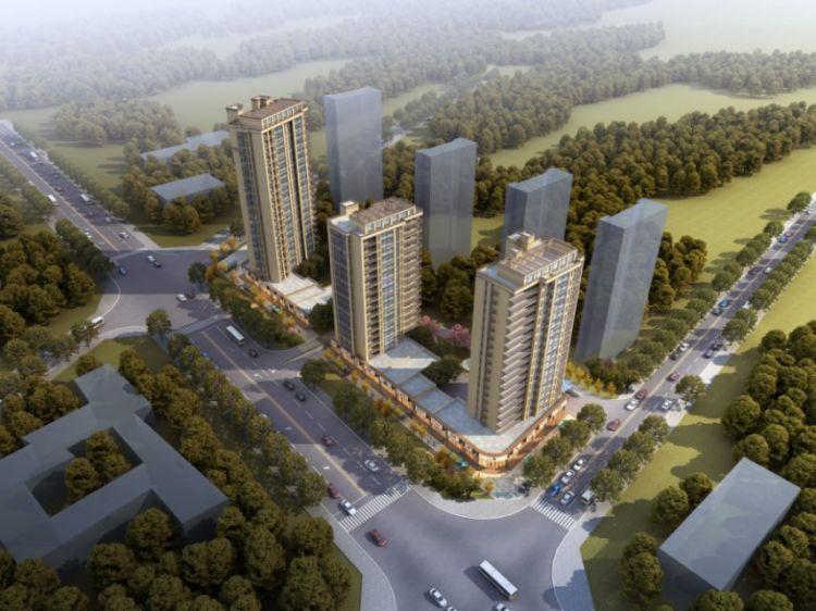 洛阳路34号最新消息详解与步骤指南