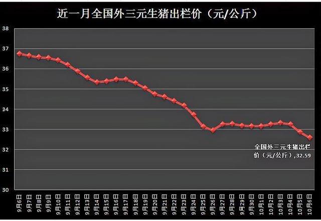 豆角价格最新动态，市场走势、影响因素与预测分析全解析
