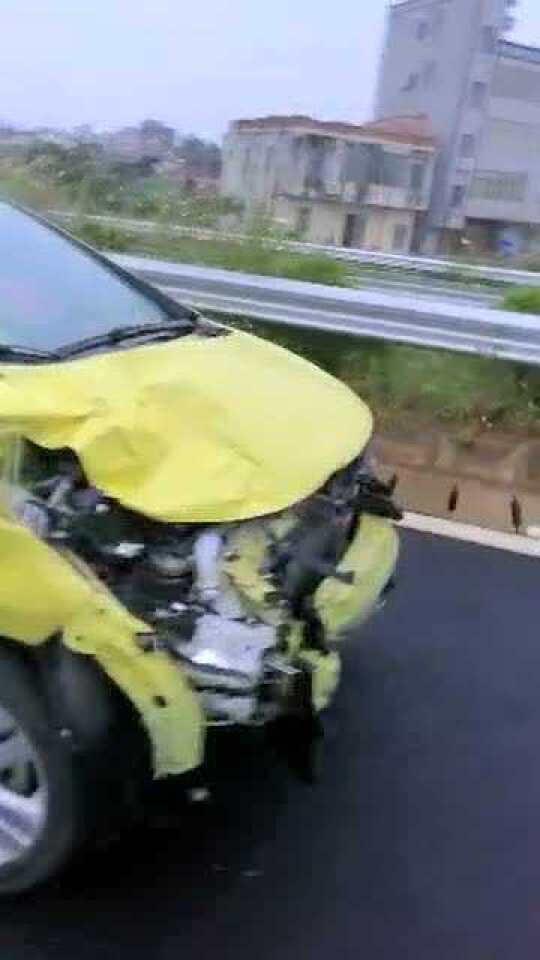 湛江车祸悲剧，日常中的意外与爱的力量