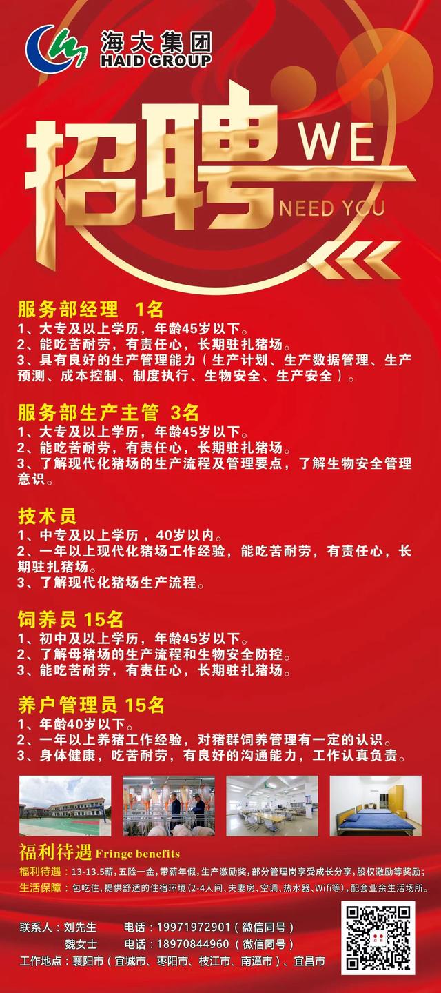 眉县最新招聘动态，探索自然美景，寻找内心平和的旅行胜地