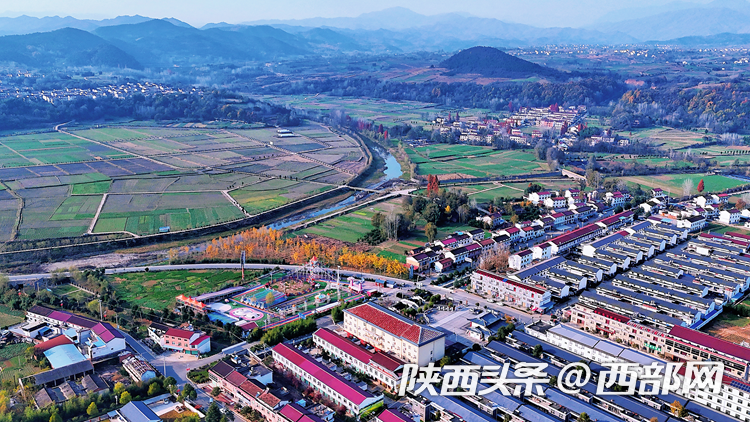 汉中洋县城市角落的温暖日常新闻速递