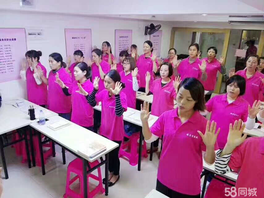 盐田家政最新招聘，小巷深处的家政人才宝藏