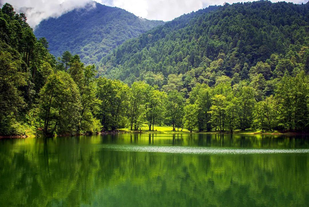 杨树林最新电视剧，自然美景的治愈之旅探索