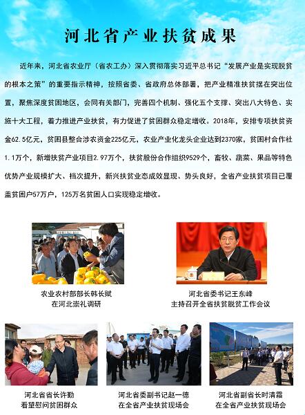 河北省最新扶贫政策,🌟河北省最新扶贫政策✨
