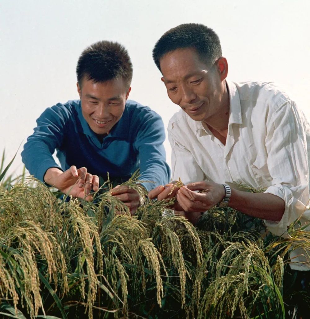 亦舒最新作品在线阅读，革新科技与生活融合的阅读体验新篇章