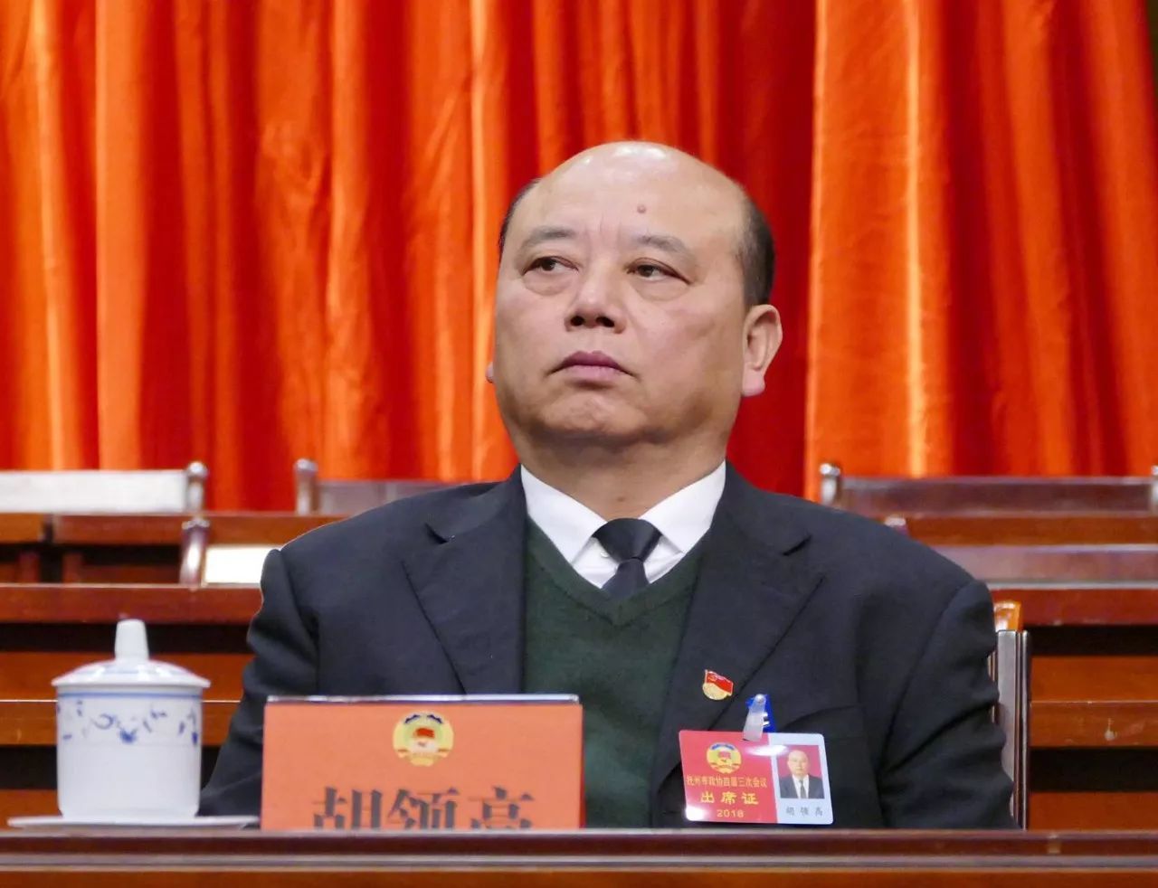 胡善亭最新任命，引领新征程的杰出领导者风采