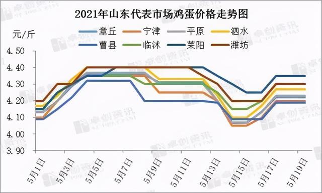 山东鸡蛋价格行情最新报告