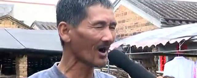 下六兴哥最新动态，多元视角的探讨与个人立场的展现