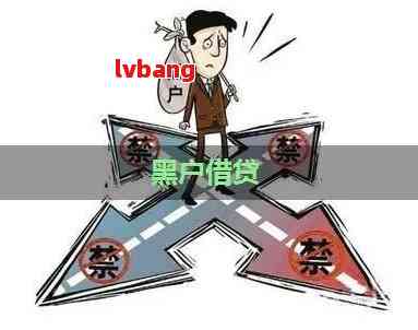 最新网贷黑户口子详解，背景、事件与影响冲击